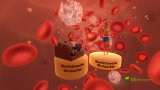 Avatar Sofia liegt auf Sofa und joggt. Im Hintergrund sind ronte Blutkörperchen, Blutfette und Blutzucker in 3D-Ansicht dargestellt.