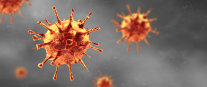 Abbildung des Coronavirus