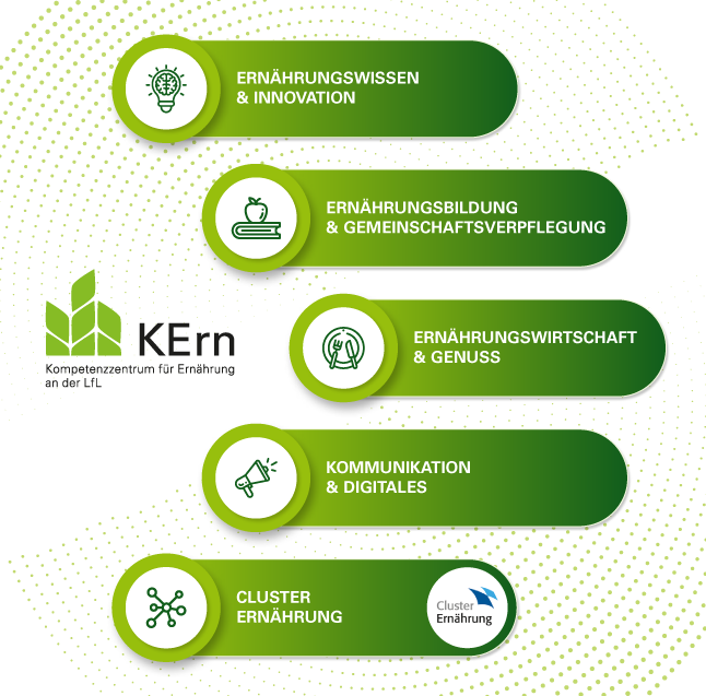 Das Organigramm des KErn visualisiert die Struktur unserer Behörde.