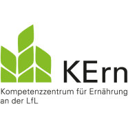 KErn Log neu