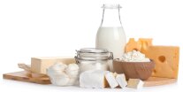 Auswahl an Milchprodukten vor weißem Hintergrund