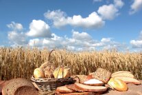 Ein Getreidefeld mit Broten davor