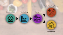 Grafik mit farbigen Icons zu den Stationen der Lebensmittel in der Wertschöpfungskette