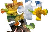 Puzzleteile, die für einen nachhaltigen Kreislauf stehen