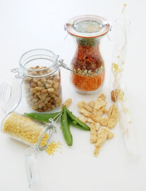 Kompendium Speiseleguminosen Kern Bearbeitet