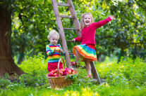zwei Kinder im Garten spielen mit Obstkorb und Leiter